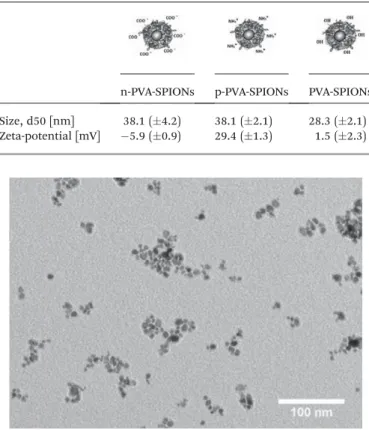 Table 1 Mean particle size and zeta potential (pH ¼ 7) of polymer coated SPIONs