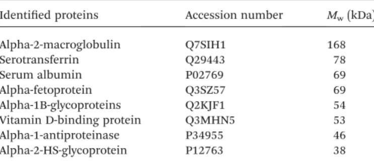 Table 2 Common proteins found on the surface of all investigated PVA-SPIONs, irrespective of their surface charge and the time of incubation with 10% FBS