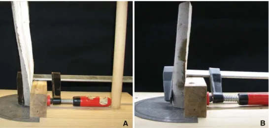 Fig. 4 Grain analyses of 11-month-old, ﬁeld-grown Curly Poplar and 4877, and the linear regression analyses for spiral grain