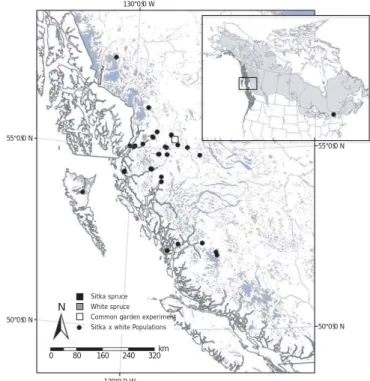Fig. 1 Sampling across the introgression zone between Sitka (Picea sitchensis) and white (Picea glauca) spruce in northwestern British Columbia, indicating provenance of origin of samples (circle) collected and planting location of the common garden experi