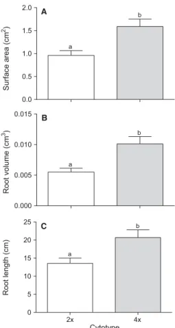 Fig. 2 Means and standard errors (vertical bars) of diploid and tetraploid cytotypes for (A) surface area, (B) root volume and (C) total root length measured using WinRHIZO (cf