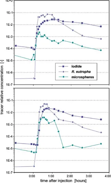 Fig. 4 In situ experimental breakthrough curves for R. eutropha, 1- μ m microspheres, and iodide as conservative solute reference tracer at two different representative sampling points (values plotted relative to input concentration; estimated errors: iodi