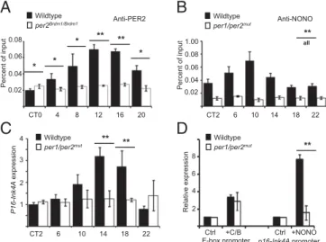 Fig. 4. Period proteins are necessary for binding and transcriptional acti- acti-vation of p16-Ink4A by NONO