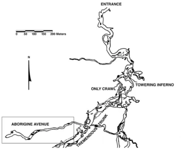 Figure 1. Jaguar Cave map showing Aborigine Avenue (rectangle); location of the prehistoric footprints