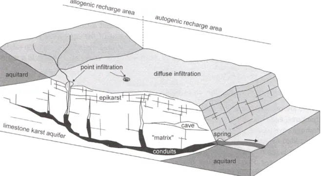 Figure 2.1: Epigenetic karst conceptual model that has to be modeled in this thesis. Modified from Goldscheider and Drew (2007)