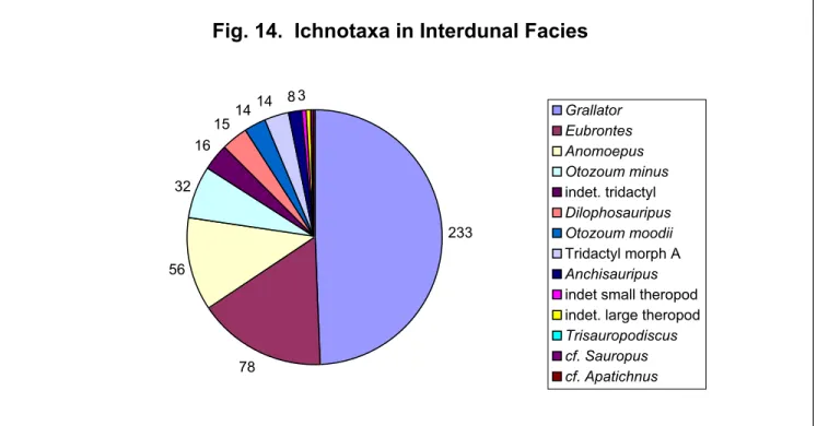 Fig. 14.  Ichnotaxa in Interdunal Facies 233 785632161514 14 8 3 Grallator Eubrontes Anomoepus Otozoum minusindet
