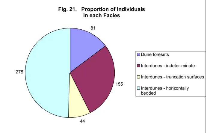 Fig. 21.   Proportion of Individuals  in each Facies 81 155 44275 Dune foresets Interdunes - indeter-minate Interdunes - truncation surfacesInterdunes - horizontally