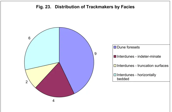 Fig. 23.   Distribution of Trackmakers by Facies 9 426 Dune foresets Interdunes - indeter-minate Interdunes - truncation surfacesInterdunes - horizontally