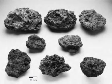 Fig.  36  Face  inférieure  d’un  fragment  de  calotte,  avec  traces  du  placage  sableux provenant des parois du bas foyer