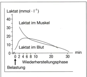 Abb. 2 Laktatelimination (aus Weineck 2004) 
