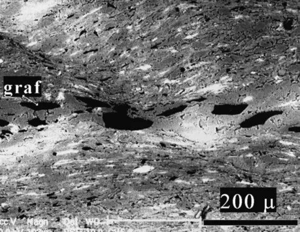 Figure 5. SEM image of a sample from borehole CH5. Section perpendicular to the schistosity