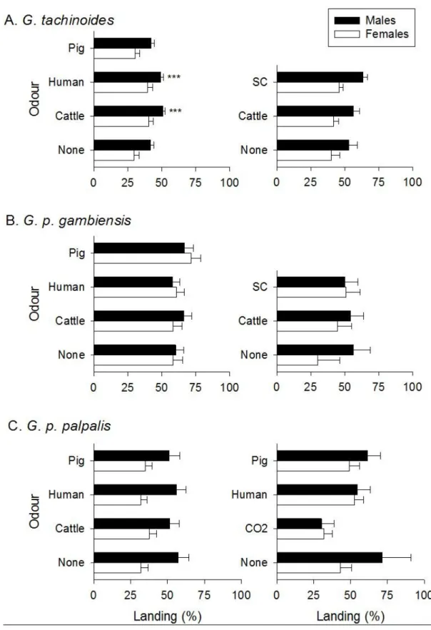 Fig.  2.  Mean  percentages  of  G.  tachinoides, G.  p.  gambiensis  and  G.  p.  palpalis landing  on  a  cloth  target  baited  from  experiment  where  different  natural  (left-hand  column)  or  natural  vs