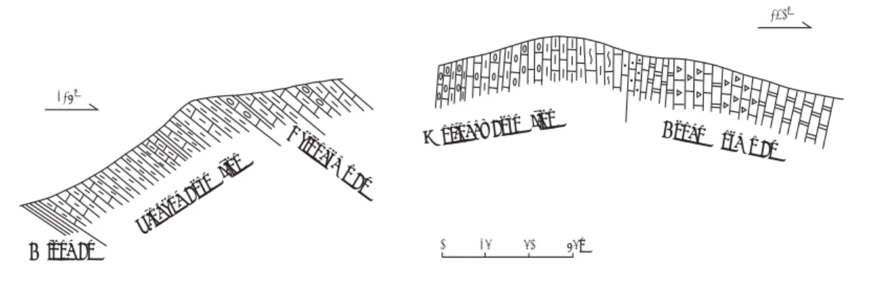 Figure 2: The Lower Triassic profile of the Majiashan Section, Chaohu, Anhui Province.