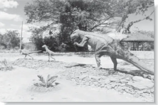 Figura 6 (esquerda)- Pista de Dinossauro Ornitópode no Monumento Natural Vale dos Dinossauros
