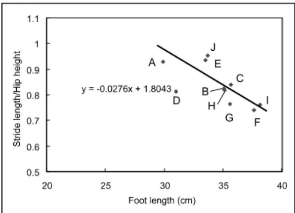 Fig.  8.  Scatter  diagram  showing  the  rations  of  stride  length  to  hip  height  vs  foot  length  from  study  area.