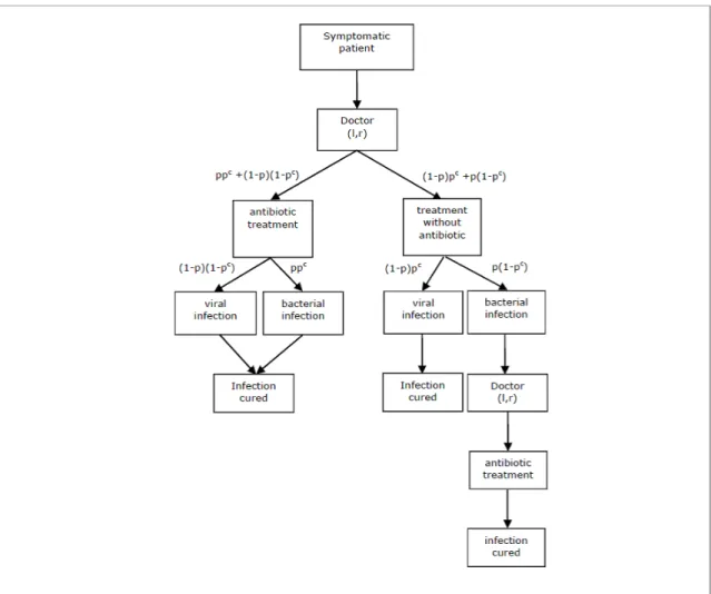 Figure 1: Doctor’s strategies to tacke a mild respiratory/gastro-intestinal infection.