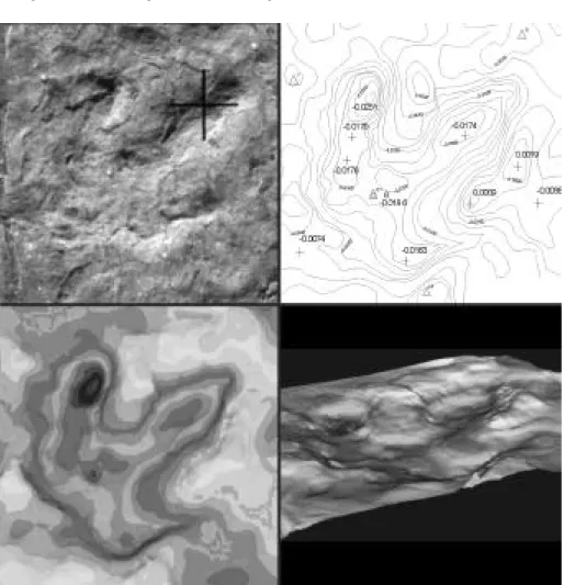 Figure 12.5. Photo of a RGDT footprint (upper Left); digital contour of track (upper right); DTM of track, planar view (lower left); and DTM of track, oblique view (lower right).