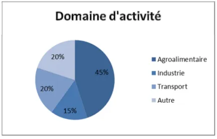 Figure 11 - Domaine d'activité 