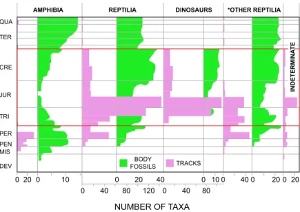 FIGURE 2. Comparison of diversity of fossil footprints and body fossils of amphibians, all reptiles, dinosaurs, and (*) reptiles exclusive of dinosaurs, and of indeterminate tetrapod footprint taxa