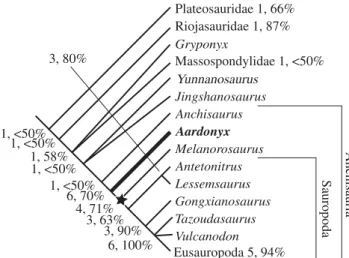 Figure 4. Condensed cladogram based on the strict consen- consen-sus of 28 most parsimonious trees (tree length ¼ 1119) obtained from a cladistic analysis of a modified version of the Yates (2007) matrix (353 characters; see the  electro-nic supplementary 