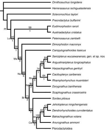 FIGURE 7. Single most-parsimonious cladogram recovered from the phylogenetic analysis of the relationships of Sericipterus  wucaiwanen-sis, gen, et sp