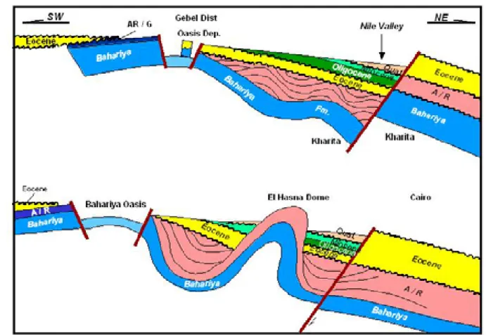 Figure 10 Schematic cross-section of features traversed from Cairo to Bahariya Oasis. 