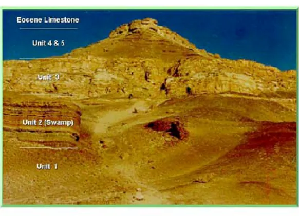 Figure 24 General view of Gebel El Dist showing different lithofacies. This outcrop section is 106 meters (350feet) thick.