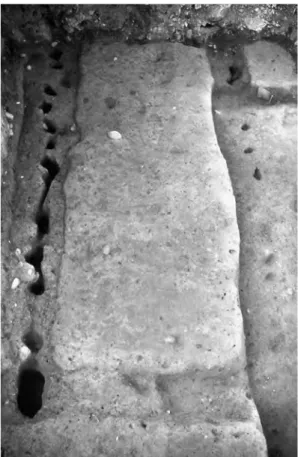 Fig. 18. Avenches. Sanctuaire  de Derrière la Tour. Plan  des vestiges antérieurs à  la construction du temple  gallo-romain