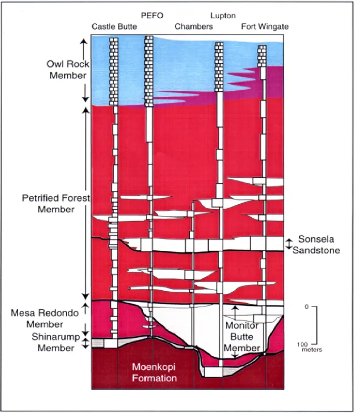 graphic interpretation and their misunderstanding of the stratigraphic designations and descriptions presented in Dubiel et al