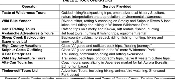 TABLE 2: TOUR OPERATORS 
