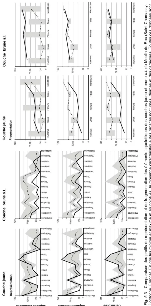 Fig. 5.3 - Comparaison des profils de représentation et de fragmentation des éléments squelettiques des couches jaune et brunes.l