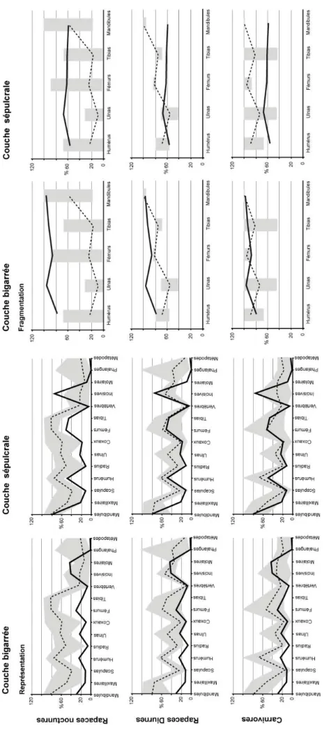 Fig. 5.4 - Comparaison des profils de représentation et de fragmentation des éléments squelettiques des couches bigarrée et sépulcrale du Moulin du Roc (Saint- Chamassy, Dordogne, France)