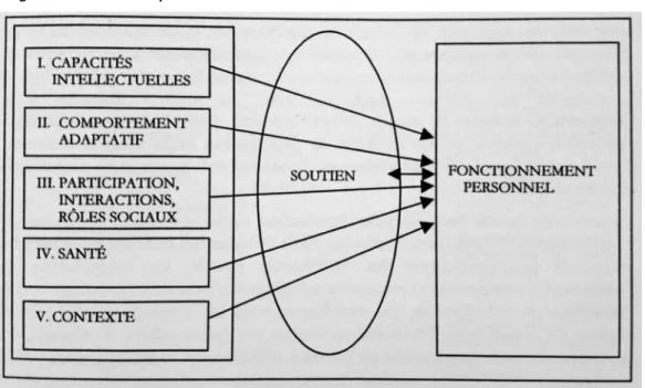 Figure 4: Modèle théorique du retard mental selon l'AAMR 