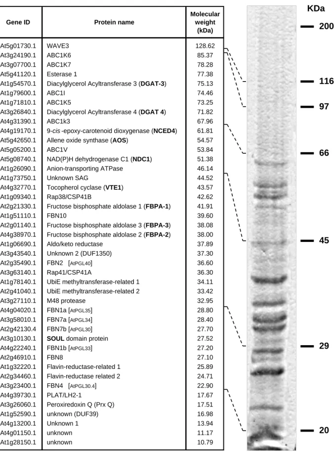 Figure 1.2: The plastoglobule proteome.