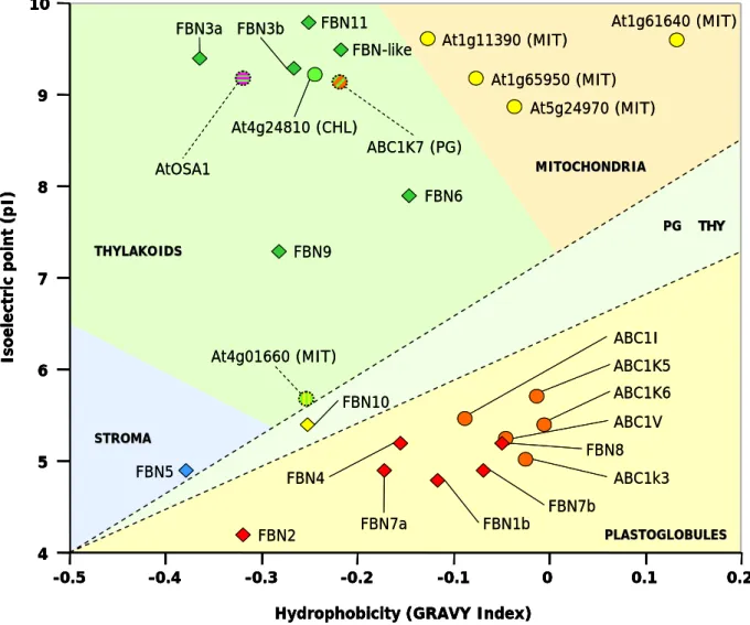 Figure 2.1:  Predicted distribution of the ABC1-like kinases identified in A. thaliana