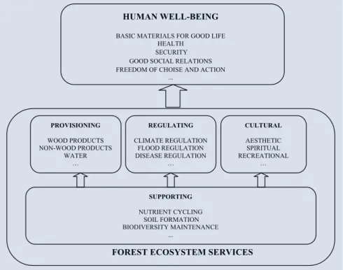 Figure 1.1 Ecosystem goods and services and their relation to well-being (modi- (modi-fied from MEA 2005).