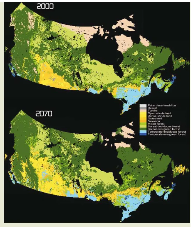 Figure 3.6 Distribution of major vegetation types as simulated by the vegetation model IBIS for 2000  and under a scenario from cluster growth (IPCC ISN92a) in 2070 in Canada