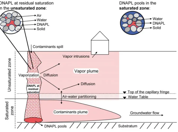 Figure 1: Conceptual sketch of a DNAPL spill in the unsaturated and saturated zone,  and various processes influencing expansion of contaminants plume
