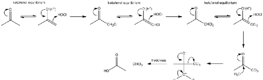 Figure 5. Reaction mechanisms for the formation of chloroform from acetone. 