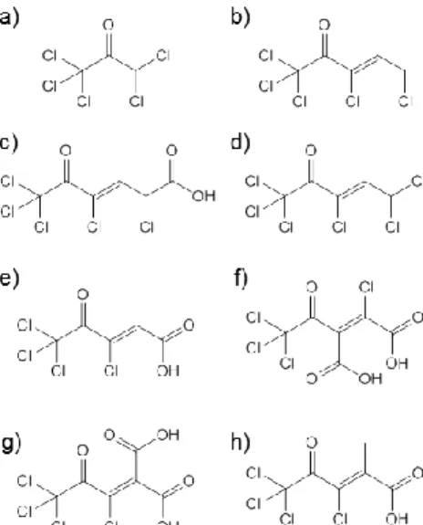 Figure  1.  Structures  of  trichloroacetyl-containing  compounds  formed  by  chemical  chlorination  of  dihydroxyaromatic  model  compounds  (a–d)  (Boyce  and  Horning,  1983)  and  humic acid (e–h) (de Leer et al., 1985).