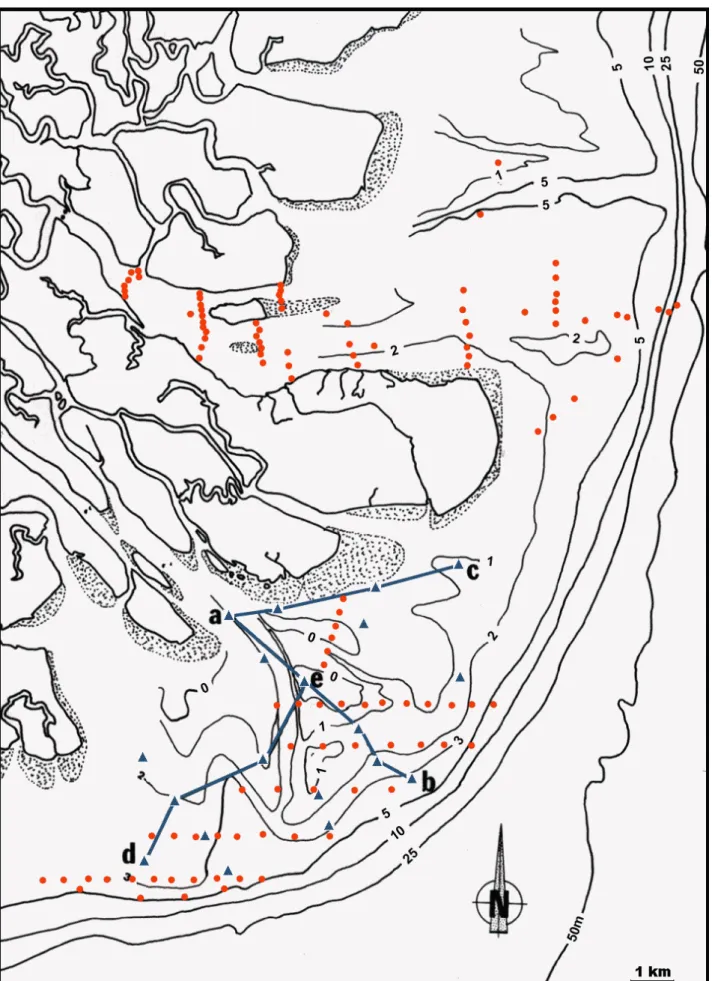 Figure 10: Location of cores (A) and associated surface samples taken in the Tunu mouth bar