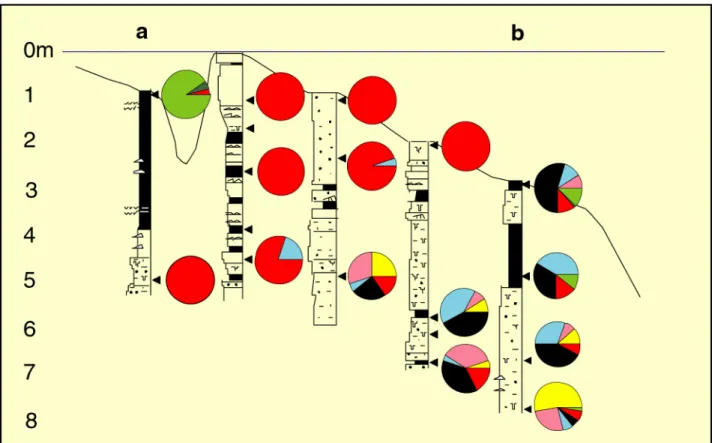 Figure 11: Tunu mouth bar, profile 1. This &#34;dip&#34; profile illustrates the progradational process (for colors coding,  see Fig