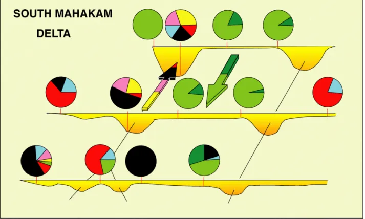 Figure 6: South Mahakam delta: lateral distribution of the microfauna across delta front channels