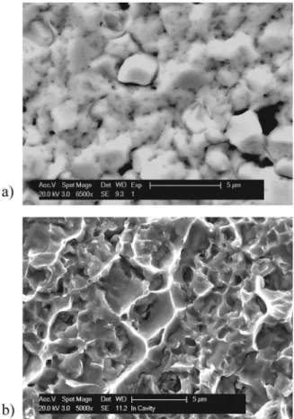 FIG. 4. SEM pictures of indium surface (a) before bonding and (b) after bonding and pull test.