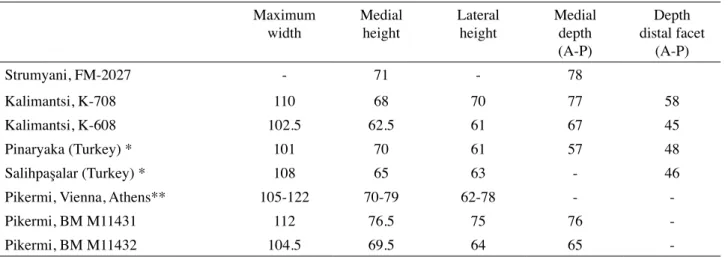 Table I : Comparative measurements of talus Maximum width Medialheight Lateralheight Medialdepth (A-P) Depth distal facet(A-P) Strumyani, FM-2027 - 71 - 78 Kalimantsi, K-708 110 68 70 77 58 Kalimantsi, K-608 102.5 62.5 61 67 45 Pinaryaka (Turkey) * 101 70 