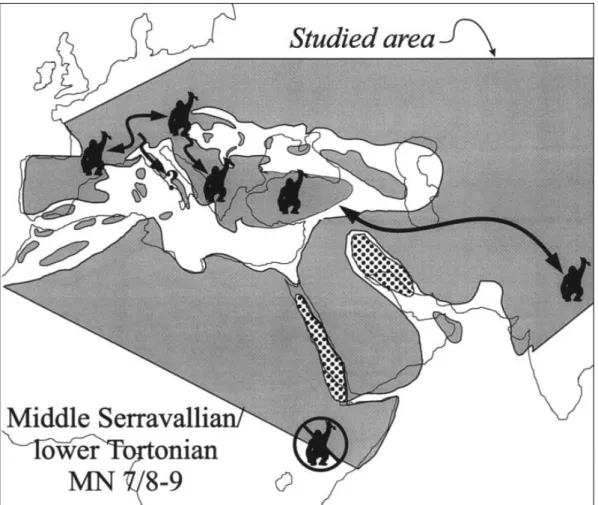 Figure 7  Paleogeography and hominoid migration routes in the late middle and early late Miocene