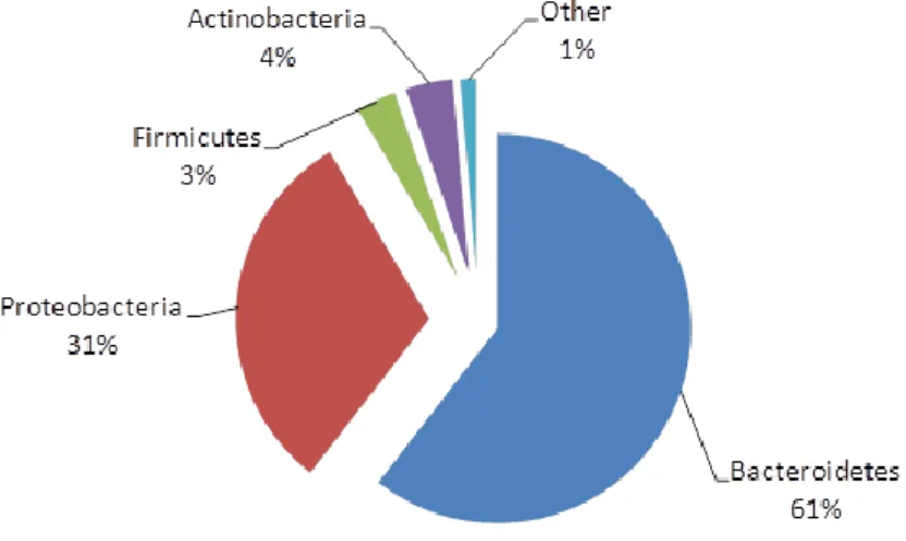 Figure 2 Composition of bacterial community associated with R. robini, based on 64,241 partial sequences of 16S rRNA genes  pooled from the three laboratory-reared populations