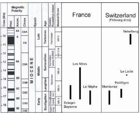 Fig. 2. Chronologic distribution of the studied sections and boreholes in the Alpine area.
