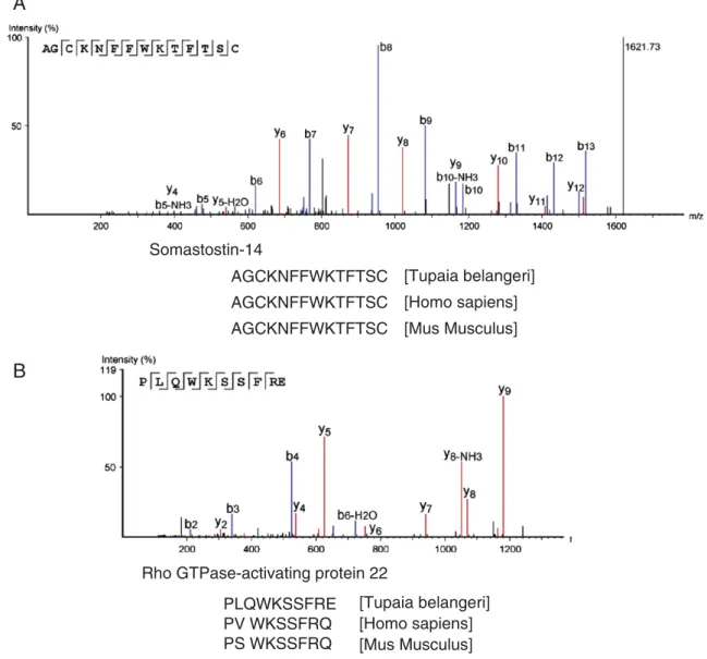 Fig. 2 – Peptide identification (A.) The annotated MS/MS spectrum of the Somatostatin-14 peptide (AGCKNFFWKTFTSC, m/z 820.3743, [M + 2H] 2+ ) is presented