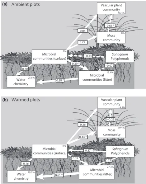 Fig. 6 Structural equation models of above- and belowground components in a Sphagnum-dominated peatland subjected to (a) ambient or (b) warmed conditions